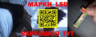 PSILOCYBIN Донской