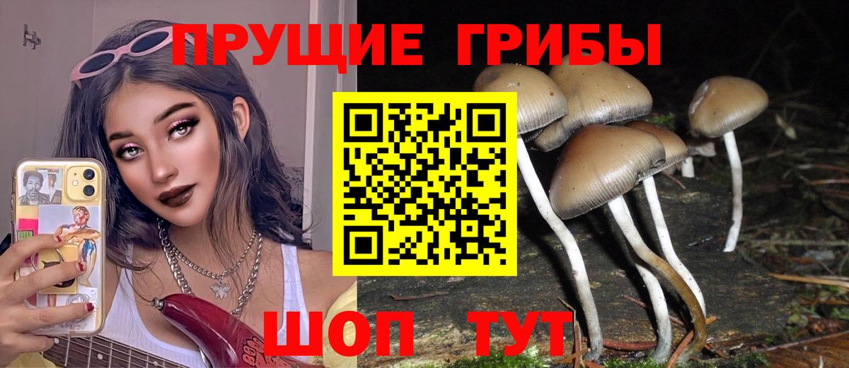 Псилоцибиновые грибы прущие грибы Краснодар