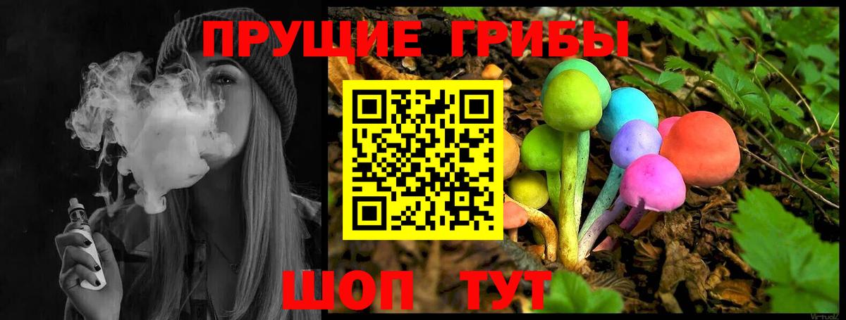 Краснодар  Псилоцибиновые грибы прущие грибы  Вход с VPN 